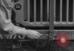 Image soldats des États-Unis installer un coupe-fil sur des jeeps Devon Angleterre, 1944, de la seconde 24 séquences d'archives historiques vidéo 65675060407