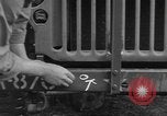Image soldats des États-Unis installer un coupe-fil sur des jeeps Devon Angleterre, 1944, de la seconde 25 séquences d'archives historiques vidéo 65675060407