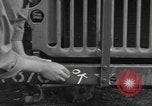 Image soldats des États-Unis installer un coupe-fil sur des jeeps Devon Angleterre, 1944, de la seconde 26 séquences d'archives historiques vidéo 65675060407