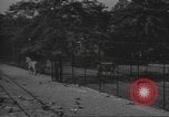 Image of Brooklyn Park Slope and Prospect Park landmarks Brooklyn New York USA, 1947, second 58 stock footage video 65675060415