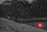 Image of Brooklyn Park Slope and Prospect Park landmarks Brooklyn New York USA, 1947, second 60 stock footage video 65675060415