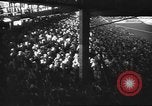 Image of Fans at Ebbets Field Brooklyn Dodgers baseball game Brooklyn New York USA, 1947, second 50 stock footage video 65675060417