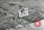Immagine di Le forze alleate a terra seguendo la D-day invasione Normandia Francia, 1944, secondo 29 filmato di repertorio 65675060419