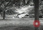 Immagine di Le forze alleate a terra seguendo la D-day invasione Normandia Francia, 1944, secondo 57 filmato di repertorio 65675060419