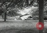 Immagine di Le forze alleate a terra seguendo la D-day invasione Normandia Francia, 1944, secondo 58 filmato di repertorio 65675060419