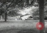 Immagine di Le forze alleate a terra seguendo la D-day invasione Normandia Francia, 1944, secondo 59 filmato di repertorio 65675060419