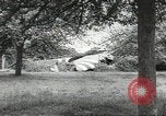 Immagine di Le forze alleate a terra seguendo la D-day invasione Normandia Francia, 1944, secondo 60 filmato di repertorio 65675060419