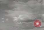 Image of Royal Navy Phoenix units English Channel, 1944, second 37 stock footage video 65675060441