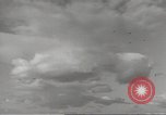 Image of Royal Navy Phoenix units English Channel, 1944, second 42 stock footage video 65675060441