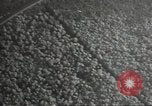 Image of US B-26 bombers Normandy France, 1944, second 55 stock footage video 65675060449