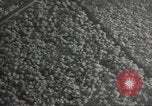 Image of US B-26 bombers Normandy France, 1944, second 56 stock footage video 65675060449