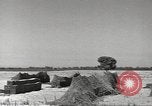 Image of United States munitions dump North Africa, 1943, second 13 stock footage video 65675060464