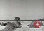 Image of United States munitions dump North Africa, 1943, second 14 stock footage video 65675060464