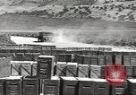 Image of United States munitions dump North Africa, 1943, second 43 stock footage video 65675060464