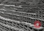 Immagine di Stati Uniti dump di munizioni Il Nord Africa, 1943, secondo 3 filmato di repertorio 65675060465