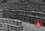 Immagine di Stati Uniti dump di munizioni Il Nord Africa, 1943, secondo 18 filmato di repertorio 65675060465