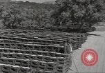 Immagine di Stati Uniti dump di munizioni Il Nord Africa, 1943, secondo 26 filmato di repertorio 65675060465