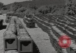 Immagine di Stati Uniti dump di munizioni Il Nord Africa, 1943, secondo 32 filmato di repertorio 65675060465