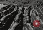 Immagine di Stati Uniti dump di munizioni Il Nord Africa, 1943, secondo 36 filmato di repertorio 65675060465