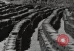 Immagine di Stati Uniti dump di munizioni Il Nord Africa, 1943, secondo 44 filmato di repertorio 65675060465