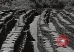 Immagine di Stati Uniti dump di munizioni Il Nord Africa, 1943, secondo 48 filmato di repertorio 65675060465