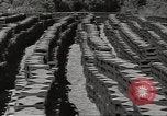 Immagine di Stati Uniti dump di munizioni Il Nord Africa, 1943, secondo 49 filmato di repertorio 65675060465