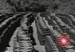 Immagine di Stati Uniti dump di munizioni Il Nord Africa, 1943, secondo 50 filmato di repertorio 65675060465