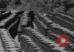 Immagine di Stati Uniti dump di munizioni Il Nord Africa, 1943, secondo 56 filmato di repertorio 65675060465