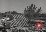 Immagine di C-47 piano dello Skytrain Il Nord Africa, 1943, secondo 14 filmato di repertorio 65675060466