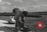 Image of United States Private Harold L Schenkel North Africa, 1943, second 51 stock footage video 65675060467