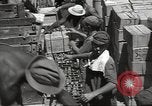 Image of Italian prisoners North Africa, 1943, second 23 stock footage video 65675060470