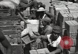 Image of Italian prisoners North Africa, 1943, second 24 stock footage video 65675060470