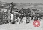 Image of Italian prisoners North Africa, 1943, second 11 stock footage video 65675060471
