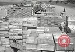 Image of Italian prisoners North Africa, 1943, second 47 stock footage video 65675060471
