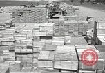Image of Italian prisoners North Africa, 1943, second 50 stock footage video 65675060471