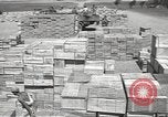 Image of Italian prisoners North Africa, 1943, second 52 stock footage video 65675060471