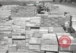 Image of Italian prisoners North Africa, 1943, second 53 stock footage video 65675060471