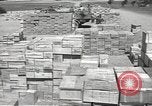 Image of Italian prisoners North Africa, 1943, second 55 stock footage video 65675060471