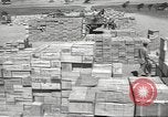 Image of Italian prisoners North Africa, 1943, second 59 stock footage video 65675060471