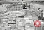 Image of Italian prisoners North Africa, 1943, second 60 stock footage video 65675060471