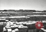 Image of Italian prisoners North Africa, 1943, second 62 stock footage video 65675060471