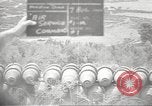 Image of United States bomb dump Algiers Algeria, 1943, second 3 stock footage video 65675060473
