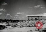 Standbild C-46 Commando Ebene Chabua Indien, 1945, aus Sekunde 28 historischem Filmmaterial Videoclip 65675060490