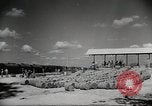 Standbild C-46 Commando Ebene Chabua Indien, 1945, aus Sekunde 29 historischem Filmmaterial Videoclip 65675060490