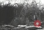Standbild C-46 Commando Ebene Chabua Indien, 1945, aus Sekunde 42 historischem Filmmaterial Videoclip 65675060490
