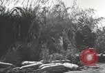 Standbild C-46 Commando Ebene Chabua Indien, 1945, aus Sekunde 43 historischem Filmmaterial Videoclip 65675060490