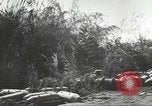 Standbild C-46 Commando Ebene Chabua Indien, 1945, aus Sekunde 44 historischem Filmmaterial Videoclip 65675060490