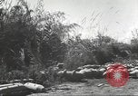 Standbild C-46 Commando Ebene Chabua Indien, 1945, aus Sekunde 45 historischem Filmmaterial Videoclip 65675060490