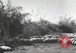 Standbild C-46 Commando Ebene Chabua Indien, 1945, aus Sekunde 46 historischem Filmmaterial Videoclip 65675060490