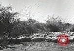 Standbild C-46 Commando Ebene Chabua Indien, 1945, aus Sekunde 47 historischem Filmmaterial Videoclip 65675060490